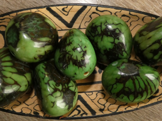 Tagua - maxikorálek (zelený - kresba)