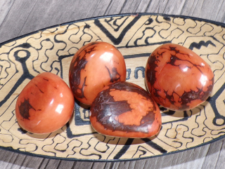 Tagua - maxikorálek (oranžový, kresba)