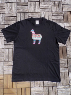 Pánské triko (černé, L)