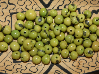 Acai (světle zelený)