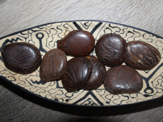 Tagua - placka (surová)