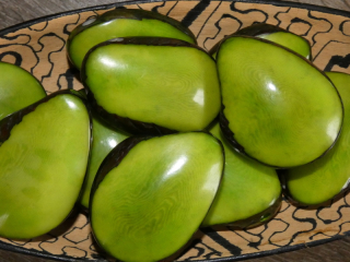 Tagua - maxičočka (světle zelená)