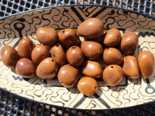 Visola (světle hnědá)