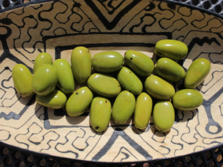 Visola (světle zelená)