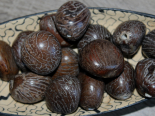 Tagua - korálek (surový)