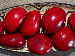 Tagua - maxikorálek (červený, perforovaný na špičce)