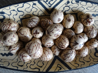 Bombona (přírodní Ekvádor)