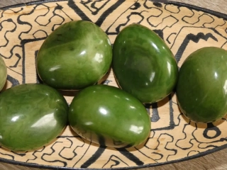Tagua - maxikorálek (zelený)