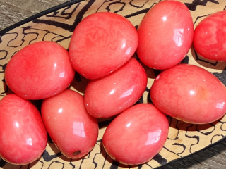 Tagua - korálek (lososový)