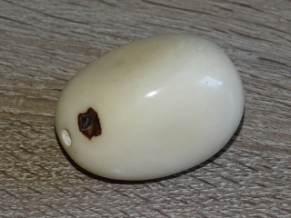 Dekorační semena tagua (přírodní)