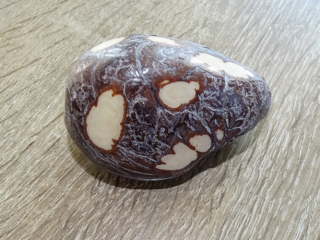 Dekorační semena tagua - flekaté