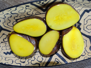 Tagua - plátek supersilný (podélný, žlutý)