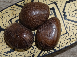 Tagua - maxikorálek (surový)
