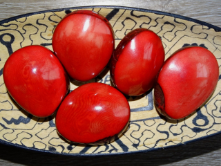 Tagua - maxičočka (červená, skrz podélně)