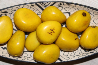 Tagua - maxikorálek (žlutý)