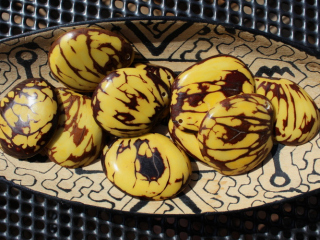 Tagua - placka (žlutá)