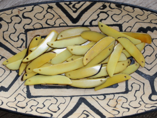 Tagua tyčka (tenká, žlutá)