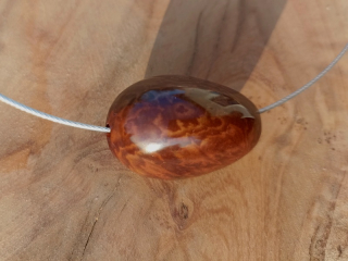 Tagua hnědá