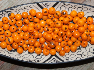 Acai (světle oranžový)