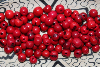Acai (červený)