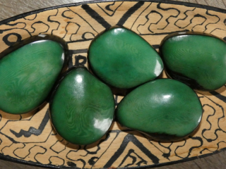 Tagua - maxičočka (tmavě zelená)