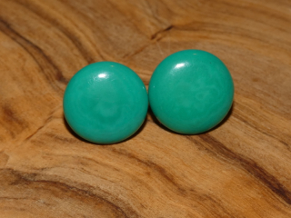 Náušnice tagua (malé, zapichovací, aqua)