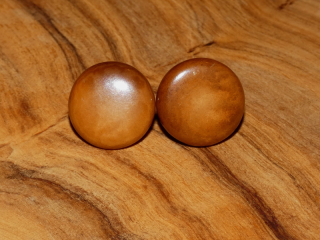 Náušnice tagua (malé, zapichovací, hnědé)