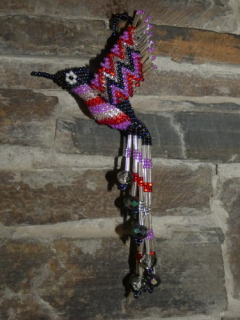 Kolibřík tmavě modrý